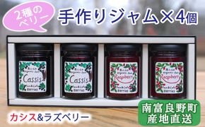 2種のベリー【カシス＆ラズベリー】手作りジャムセット 各2個 北海道 南富良野町 ジャム ベリー カシス ラズベリー ソース 果実 てんさい糖 無農薬 