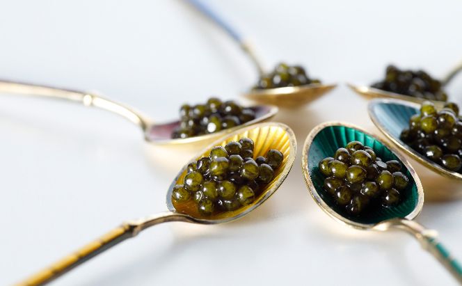 キャビア 25g ゴ・エ・ミヨ2020 テロワール賞受賞 瀬戸内キャビア 国産 生キャビア 魚卵 高級食材 高級品 おつまみ つまみ 贈り物 ギフト プレゼント 香川 香川県 東かがわ市