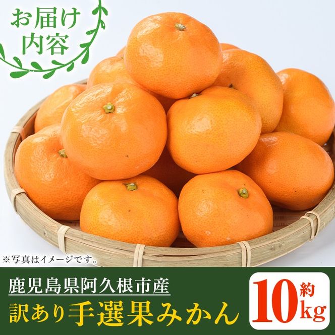 訳あり！鹿児島県産手選果みかん(計10kg) 国産 柑橘 果物 フルーツ ご家庭用 サイズ 不揃い【三笠農業生産】akn051-11