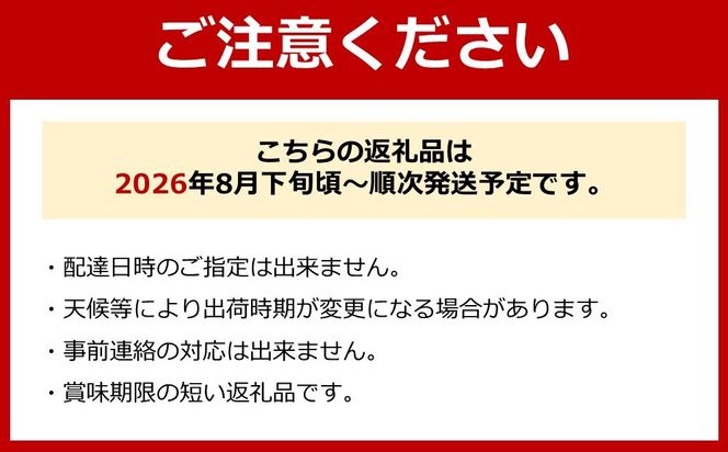 巨峰、豊水梨　詰め合わせ　約3kg箱 CC52