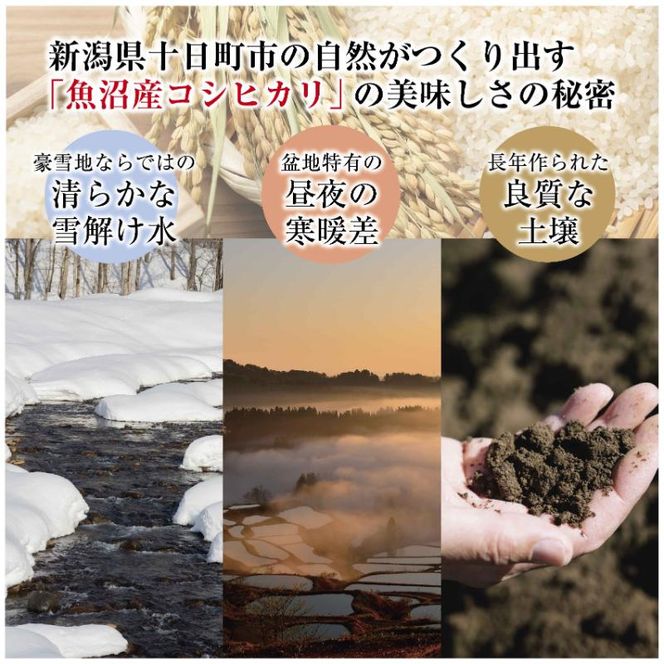 令和7年産 魚沼産 コシヒカリ 10kg 米 こしひかり お米 コメ 新潟 魚沼 魚沼産 白米 送料無料 新潟県産 精米 産直 産地直送 契約農家 お取り寄せ 魚沼三昧 川治米店 新潟県 十日町市 もちもち 甘み 