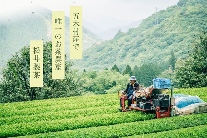 お茶 在来種 + かなやみどり 各90g [松井製茶工場 熊本県 五木村 51120323] 緑茶 熊本県 特産