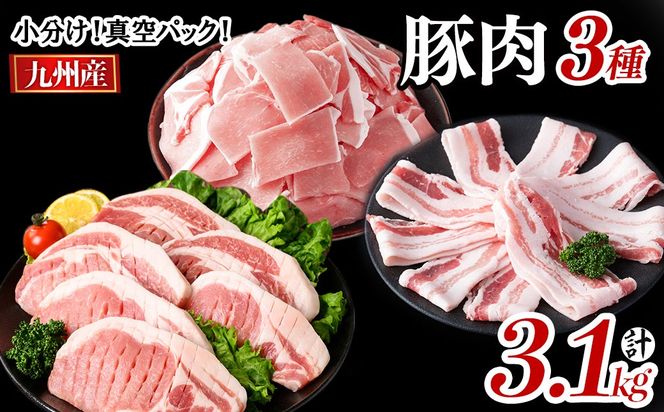 小分け・真空パック!九州産豚肉3種(計3.1kg)  a5-319