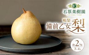 梨 2026年 先行予約 備前乙女梨（鴨梨） 3～4玉 合計約2kg【11月下旬～12月中旬頃発送】ナシ なし 岡山県産 国産 フルーツ 果物 ギフト 石原果樹園 