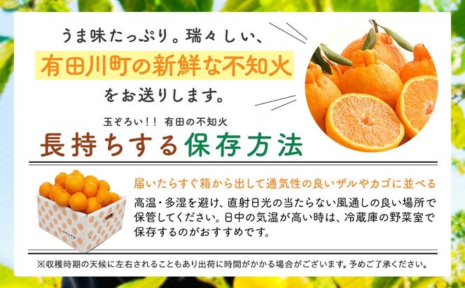 不知火 (しらぬい) 秀品 玉ぞろい 箱込 7.5kg (内容量約6.8kg)  和歌山県産 産地直送［みかんの会］ AX136