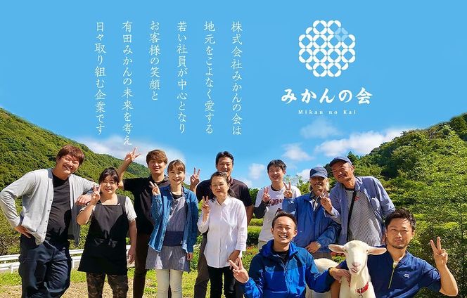 みかんの会 みかんジュース ギフト 500ml×３本 AX99