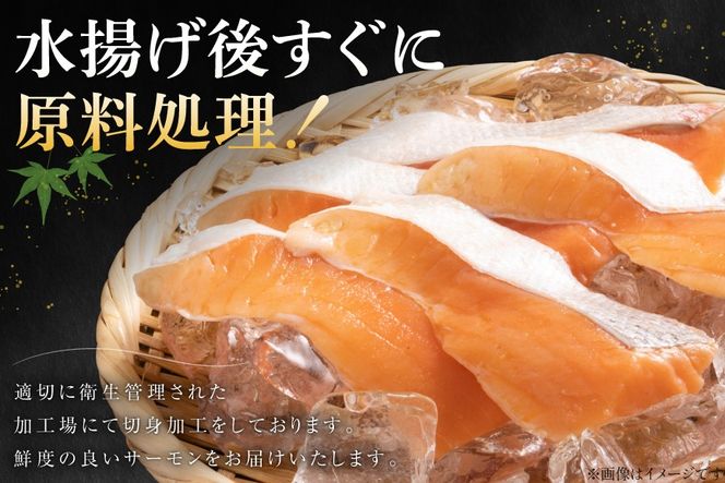 訳あり サーモン ハラス 鮭 切身 骨取り 1.5kg [足利本店 宮城県 気仙沼市 20566124] 魚 鮭 魚介類 冷凍 海鮮 鮭 魚介 規格外 鮭 不揃い さけ サケ 鮭切身 シャケ 切り身 サーモン切り身 訳アリ わけあり 簡易包装 家庭用 冷凍 鮭