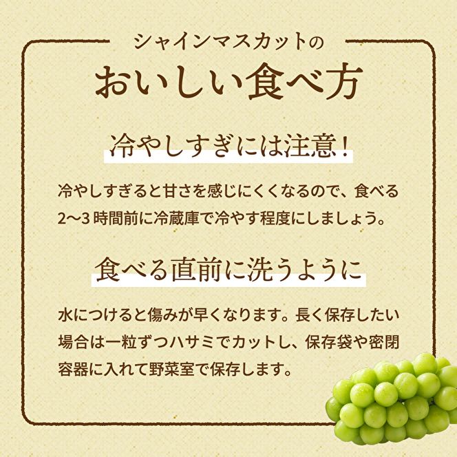 【令和8年産】シャインマスカット 3～4房 セット 約2kg ぶどう 種無し 皮ごと 兵庫県産 大粒 農家直送 果物 果物類 フルーツ デザート ブドウ 詰め合わせ 甘い 粒 糖度