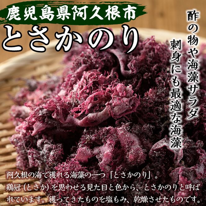 阿久根の海藻セット「とさかのり・天草」(合計7袋) 国産 鹿児島県産 海藻 心太 おかず 料理 小分け 個包装 乾物【福美丸水産】akn033-03