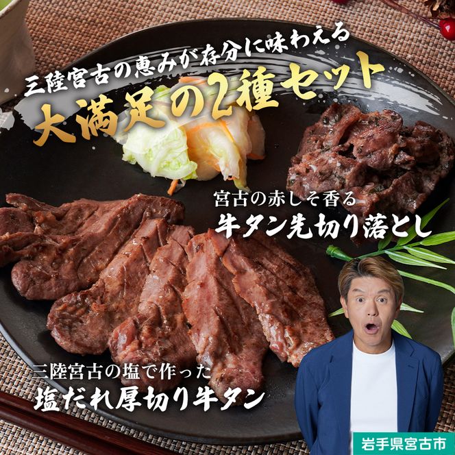 牛たん セット 宮古の塩だれ 厚切り牛タン 600g (200g×3) 宮古の赤しそ香る 牛タン先 切り落とし 200g 詰め合わせ 厚切り牛タン 味付け肉 味付き肉 タン先 牛肉 牛 肉 お肉 厚切り タン 冷凍 焼肉 キャンプ BBQ アウトドア 岩手 岩手県 宮古市