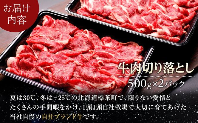 牛肉 切り落とし 北海道産 星空の黒牛 約1kg（500g×2）【 肉 にく ニク 牛肉 牛肉赤身 赤身 牛肉セット バーベキュー 冷凍牛肉 贅沢牛肉 国産牛肉 北海道産牛肉 道産牛肉 簡単 お手軽 特製牛肉 標茶町 北海道 】 016641_AD031