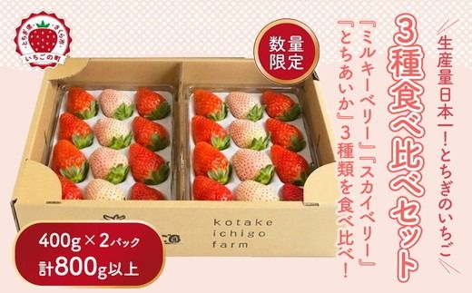 満足3種食べ比べセット（ミルキーベリー、スカイベリー、とちあいか）400g×2パック 800g｜先行予約 数量限定 栃木県 果物 くだもの フルーツ 苺 イチゴ ※2026年2月上旬～4月中旬頃に順次発送予定