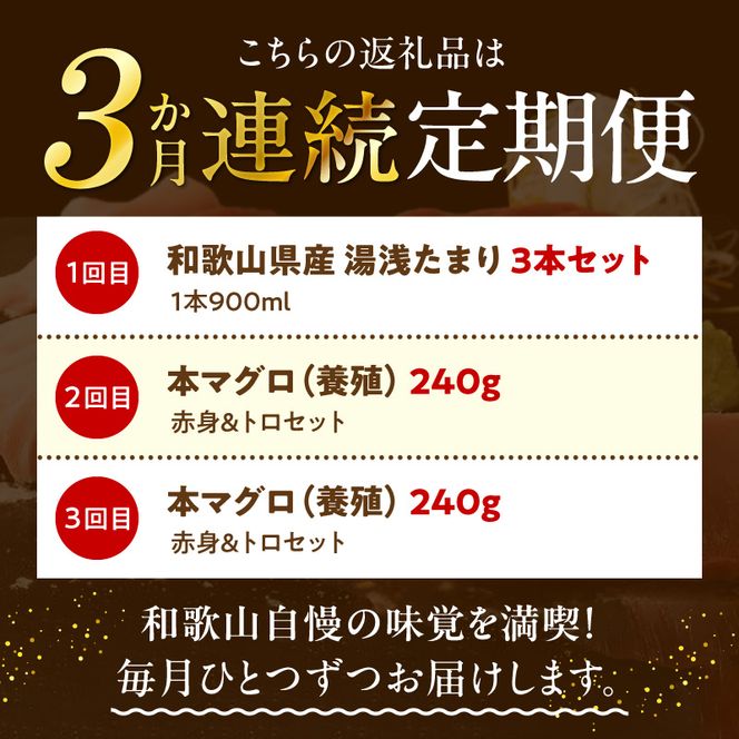 和歌山の美味満喫便 本マグロ＆湯浅たまり醤油 全3回 _YAS60-T03