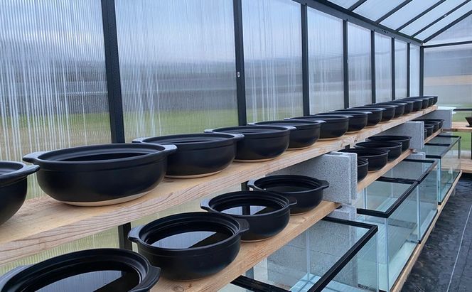 【小豆島】小豆島製塩所ENSOUが手がける完全天日塩 満月・新月セット(各40g) 塩 天日塩 完全天日塩 調味料 国産