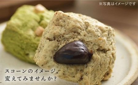 【全6回定期便】定番 ＆ 季節 の スコーン 12個セット 糸島市 / スコーン専門店キナフク 焼き菓子 焼菓子 洋菓子 スイーツ パン [AFA016]