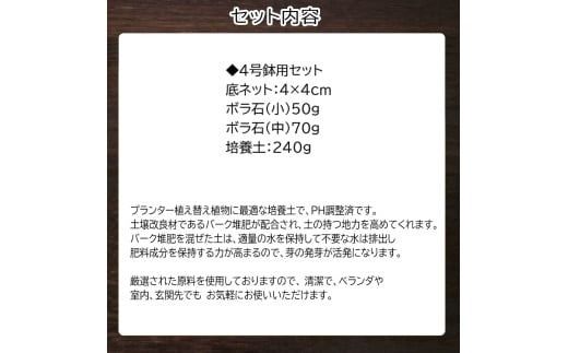 E101 培養土　【植え替え土セット】　観葉植物の土　4号