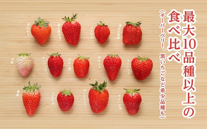 【先行予約】【12月から発送】いちご狩りチケット（2名様分）SMQ001