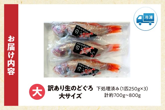 【兵庫県香住産 処理済 のどぐろ大3匹 1匹約250g前後 計約700～800g 冷凍】令和8年3月下旬以降、順次発送予定 日本海 生冷凍 鮮度抜群 急速冷凍 白身のトロ 産地直送 兵庫県 香美町 香住 柴山 山陰 大人気 おすすめ 宿院商店 33-31