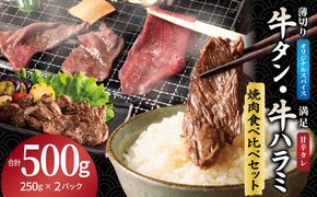 099H4380 牛タン焼肉 オリジナルスパイス＆牛ハラミ甘辛 食べ比べ焼肉セット 合計500g（250g×2P）