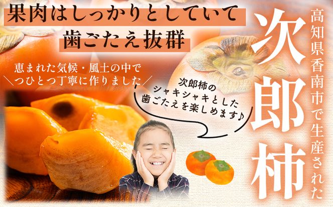 【2026年10月下旬より順次配送】次郎柿 3kg くだもの 果物 フルーツ 柿 かき カキ ３きろ ３キロ 美味しい 栄養 高知県 香南市 nm-0003