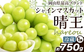 ぶどう [2025年先行予約] シャインマスカット 晴王 750g《2025年9月中旬-11月上旬頃出荷》ハレノスイーツ 岡山中央卸売市場店 マスカット 送料無料 岡山県 浅口市 フルーツ 果物 贈り物 ギフト 国産 【配送不可地域あり】---124_c909_9c11j_24_24000_750---