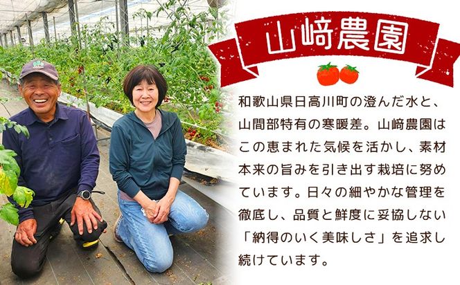 お米 ミルキークイーン 約5kg 山﨑農園 《30日以内に出荷予定(土日祝除く)》 和歌山県 日高川町 米 お米 ご飯 おにぎり---wshg_ysk2_30d_26_18000_5kg---