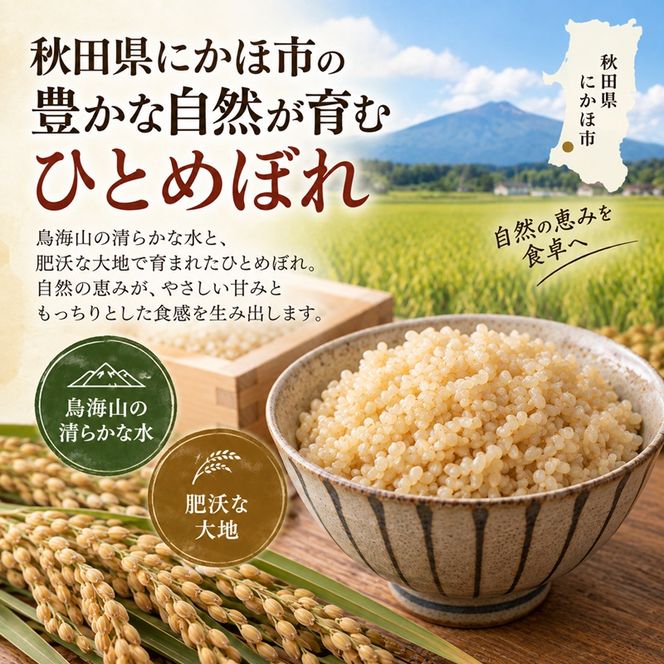 【新米先行予約】【2026年10月以降順次発送予定】 ひとめぼれ 令和8年度産 玄米 1kg 米 コメ お米 おこめ ご飯 ごはん 秋田 にかほ