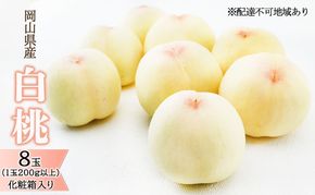 桃 2026年 先行予約 白桃 8玉（1玉200g以上）化粧箱入り もも モモ 岡山県産 国産 フルーツ 果物 ギフト 透き通る 白い 柔らかい 果汁 きめ細やか 恵み 知恵 情熱 贈り物