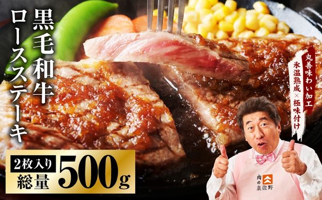 mrz0002 黒毛和牛 ロースステーキ 2枚 総量 500g【氷温熟成×極味付け 国産 牛肉 経産牛 すてーき 訳あり サイズ不揃い】 