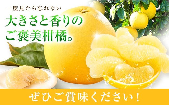柑橘 晩白柚 選べる L 2L 3L 1玉 ～ 6玉 約1.5kg～10kg 日本フルーツ株式会社《12月上旬-2月末頃出荷》熊本県 氷川町 ばんぺいゆ 果物 フルーツ 大玉 爽やか 甘み 酸味 香り 常温保存 柑橘類 冬 果肉 プリッ 食べ応え---hkw_nhf_1_1500g---