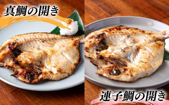 活き活き鮮魚開きセット（真鯛・連子鯛・アジ・いさき・やりいか 計 5枚）糸島市 / 有限会社 糸島海産 / 開き / セット[AMR001]