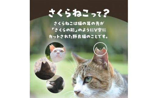 メール便発送【訳ありコーヒー定期便】さくらねこ支援コーヒーセット 12ヶ月 (豆・粉・ドリップ) コーヒー 珈琲 ドリップコーヒー さくらねこ支援コーヒー 定期便 コーヒーセット 山梨 富士吉田