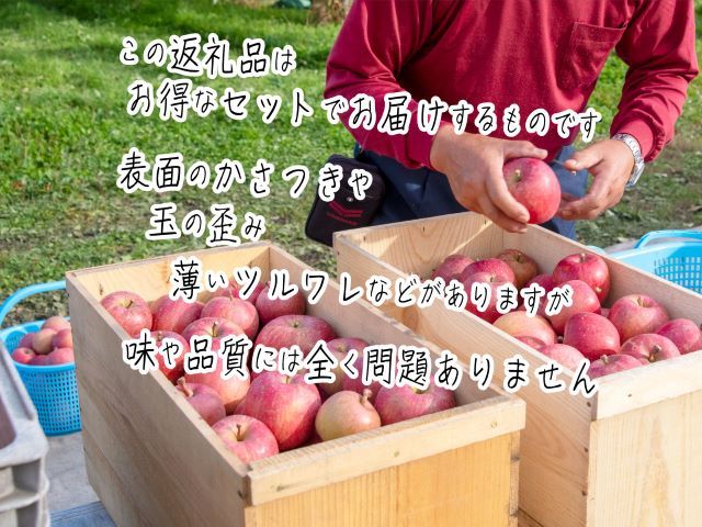 りんご 訳あり 青森 サンふじ リンゴ 約 5kg （14～18玉） 青森県 鰺ヶ沢産 ヒバリノ園 フルーツ 果物 果物類 白神山地 林檎 サンフジ ふじ ※オンライン決済のみ 