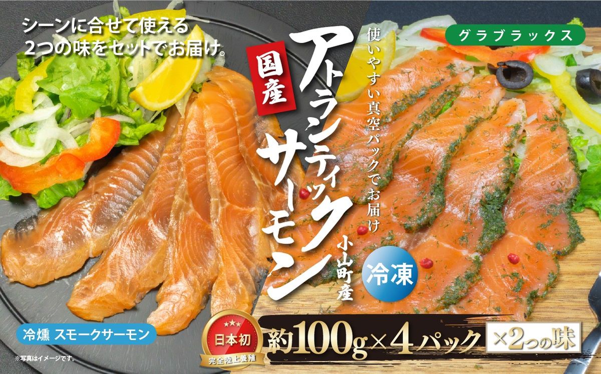 国産 静岡県小山町産 アトランティックサーモン 冷凍 スモークサーモン 冷燻・グラブラックス 食べ比べセット約100g×4パック×2つの味