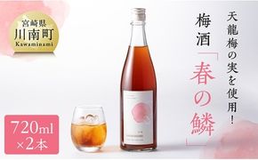 【数量限定】天龍梅の実を使用！オリジナル梅酒「春の鱗」（720ml×2本）【 お酒 アルコール 酒 梅酒 】 [F5603]