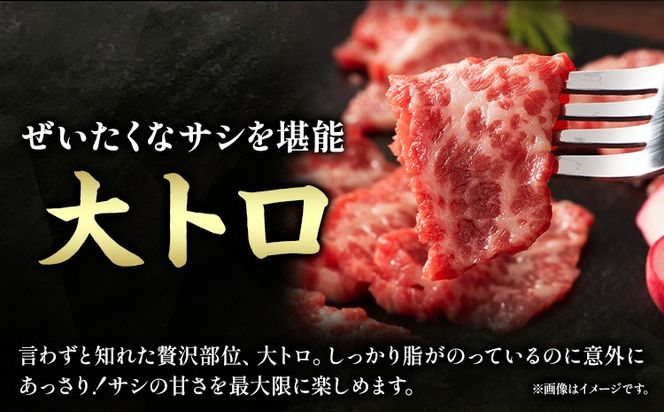 馬肉 ふじ 馬刺し 霜降り馬刺し 3種 約 240g 道の駅竜北《60日以内に出荷予定(土日祝除く)》 熊本県 氷川町 肉 馬肉 トロ 中トロ 大トロ ふじ馬刺し セット 食べ比べ---sh_fyesf3syu_24_60d_31500_240g---