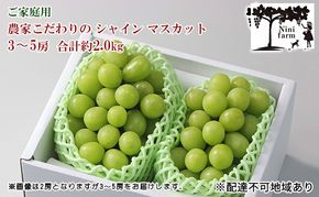 ぶどう 2026年 先行予約 【平均糖度20度】ご家庭用 農家こだわりの シャイン マスカット 3～5房 合計約2.0kg ブドウ 葡萄 岡山県産 国産 フルーツ 果物 【 Nini farm 農家 直送 】 [№5735-1949]