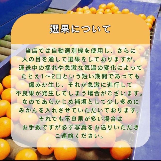 有田みかん 由良早生S〜Lサイズ混合 約10kg 【2025年発送 先行予約】 ER02