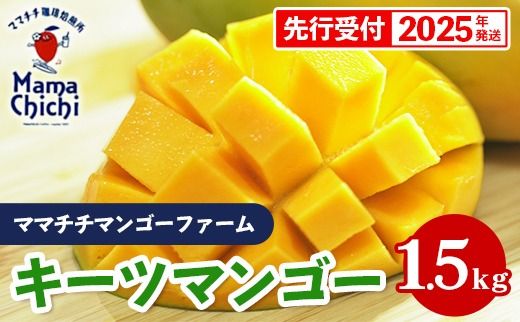 [先行受付][2025年発送]ママチチマンゴーファームのキーツマンゴー約1.5kg
