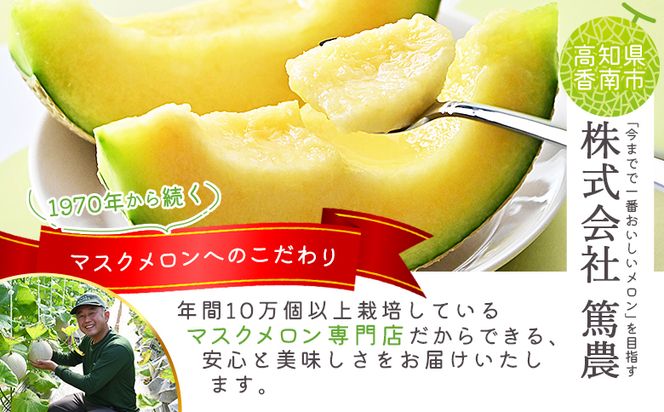 メロン 定期便 ４回 一果相伝 青肉メロン 赤肉メロン 家庭用 1玉 交互にお届け - 定期便 果物 フルーツ めろん 青肉 赤肉 自宅用 ジューシー 果汁 至福 美味しい ソーダ ケーキ 篤農 産地直送 高知県 香南市 Wtn-0048