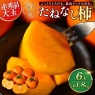 先行受付　柿(種無し)　赤秀品大玉　6個入　約1.8kg