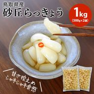 【業務用】鳥取県産砂丘らっきょう　500ｇ×2 322032_BS010