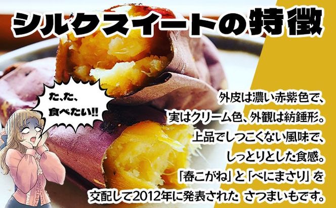 北海道 伊達 さつまいも シルクスイート 5kg 熟成 高糖度 サツマイモ 芋 甘い スイートヤバ芋 産地直送
