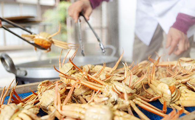 セコガニ コッペがに 子持ち 特大サイズ 3杯セット 冷蔵 蟹 カニ かに 松葉蟹 松葉ガニ ズワイガニ ボイル myz05