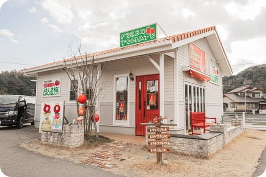 フルーツトマト糖度8.5度　約1.5kg ※2026年1月上旬～4月下旬頃に順次発送予定◆