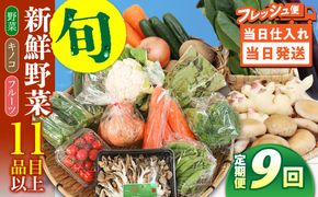 【毎月コース】野菜 キノコ 果物 11品目 詰め合わせ 9回 定期便  / 南島原市 / 吉岡青果[SCZ035]