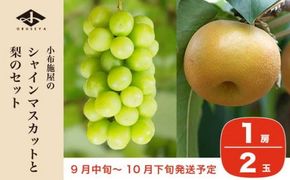 シャインマスカット1房と梨2玉 詰め合わせ ［小布施屋］果物 詰合せ セット フルーツ ぶどう なし シャインマスカット 先行予約 期間限定 冷蔵便 クール便 数量限定 長野県産 信州産 令和7年産 【2025年9月中旬頃～10月下旬頃まで順次発送】 ［A-306］