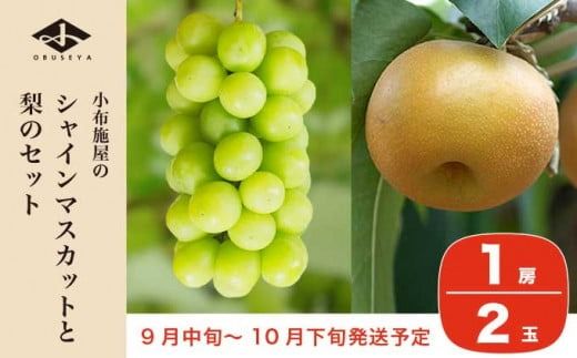 シャインマスカット1房と梨2玉 詰め合わせ ［小布施屋］果物 詰合せ セット フルーツ ぶどう なし シャインマスカット 先行予約 期間限定 冷蔵便 クール便 数量限定 長野県産 信州産 令和7年産 【2025年9月中旬頃～10月下旬頃まで順次発送】 ［A-306］