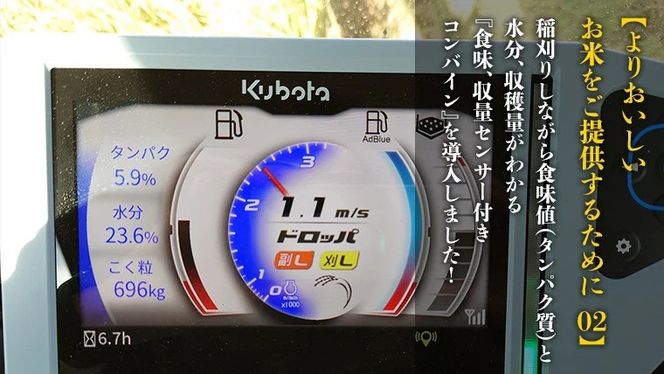 【選べる 玄米 精米】令和7年産 茨城県産 新米 ミルキークイーン 10kg 米 こめ コメ 農家 直送 こだわり お米 おこめ 茨城 [BG015ya] [BG016ya]