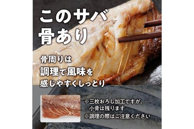 ＜訳あり・不揃い＞ 塩さば フィーレ (計2kg・1kg×2袋)サバ 鯖 切り身 フィレ 有塩 国産 パラパラ冷凍 小分け 便利 簡単【HX003】【山田水産】